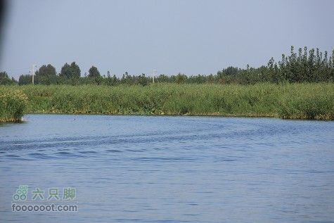 20100911白洋淀IMG_2016_眸目压缩