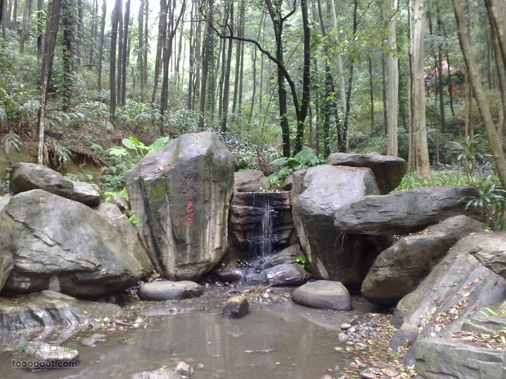 福州森林公园游览观光20100923883