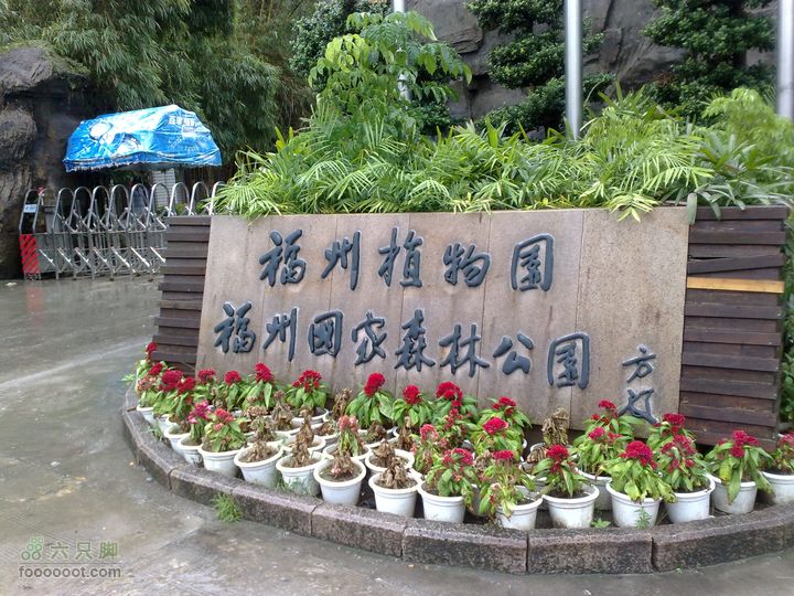 福州森林公园游览观光20100923896