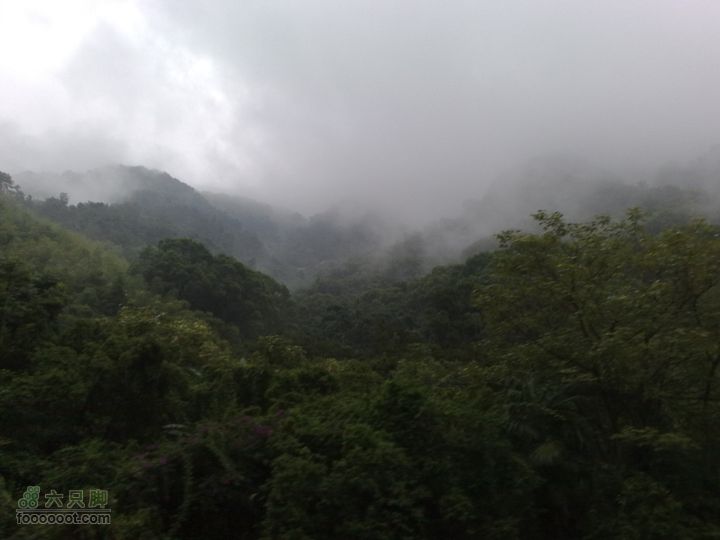 福州森林公园游览观光20100923759