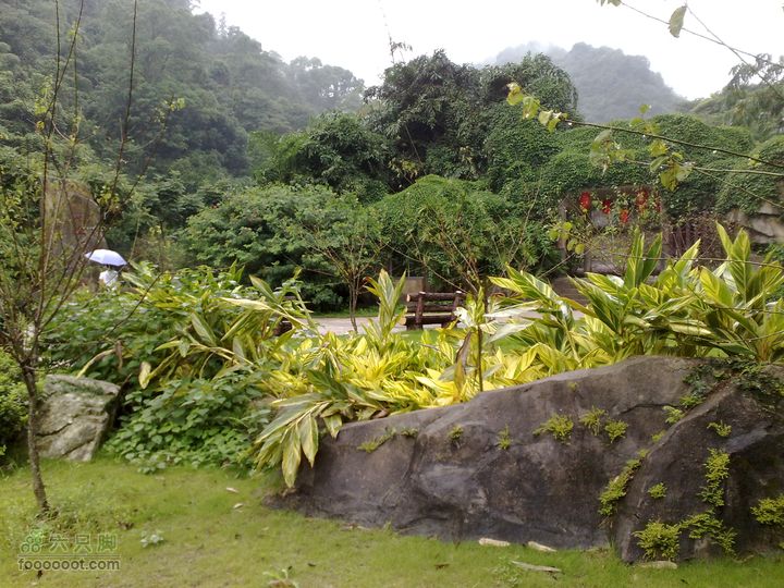 福州森林公园游览观光20100923762