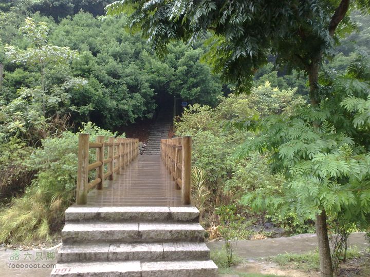 福州森林公园游览观光20100923766