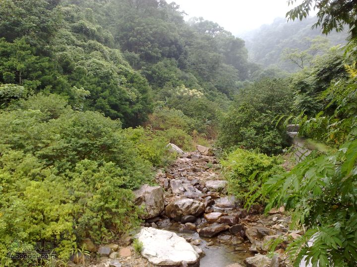 福州森林公园游览观光20100923767