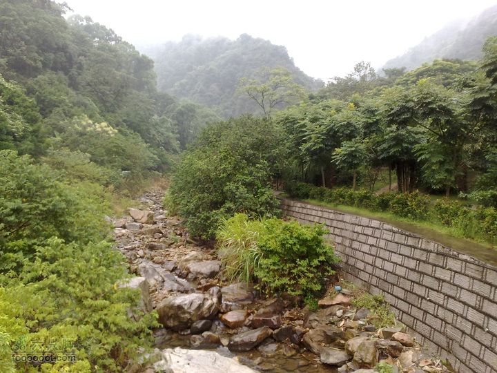 福州森林公园游览观光20100923768