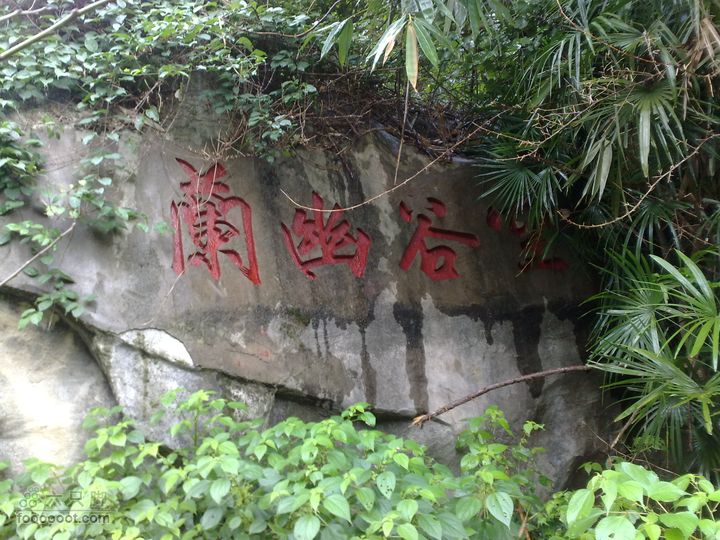 福州森林公园游览观光20100923773