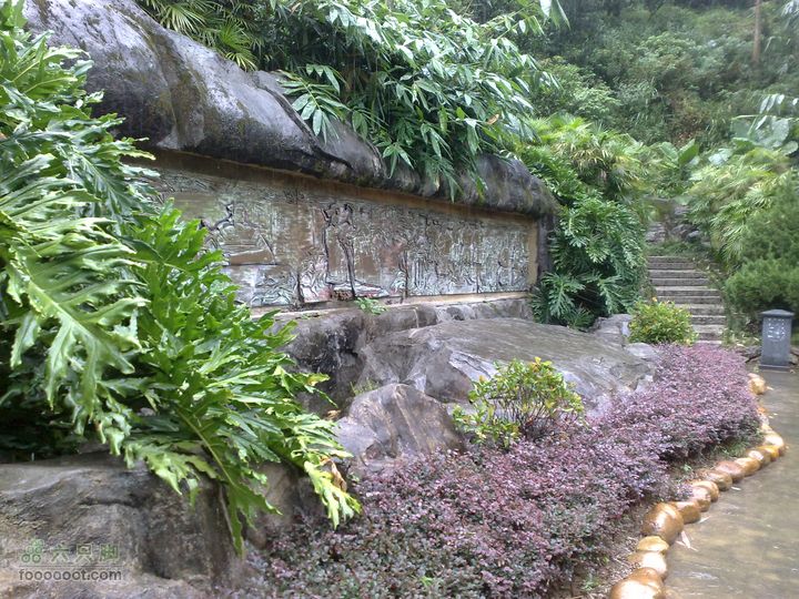 福州森林公园游览观光20100923775