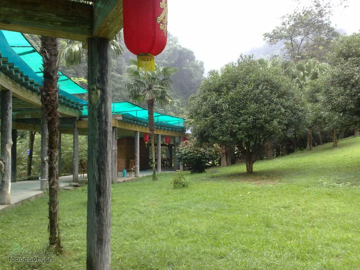 福州森林公园游览观光20100923776