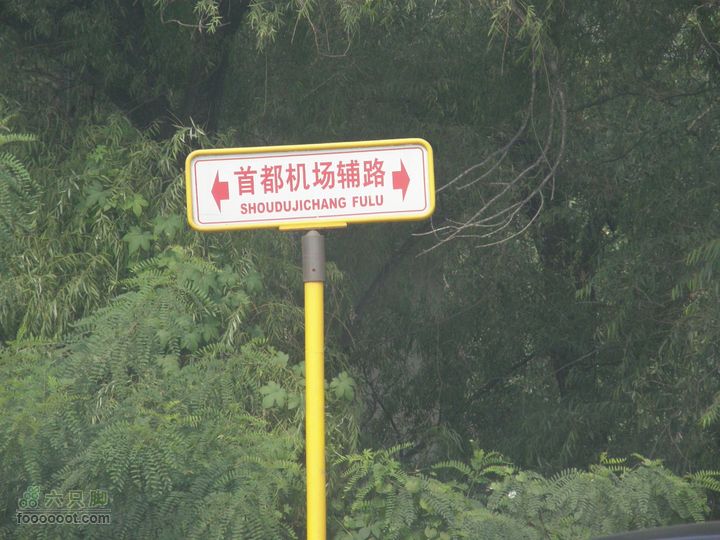 超级实用-八爪鱼带您去首都机场走逃票路线-省20元P9240448
