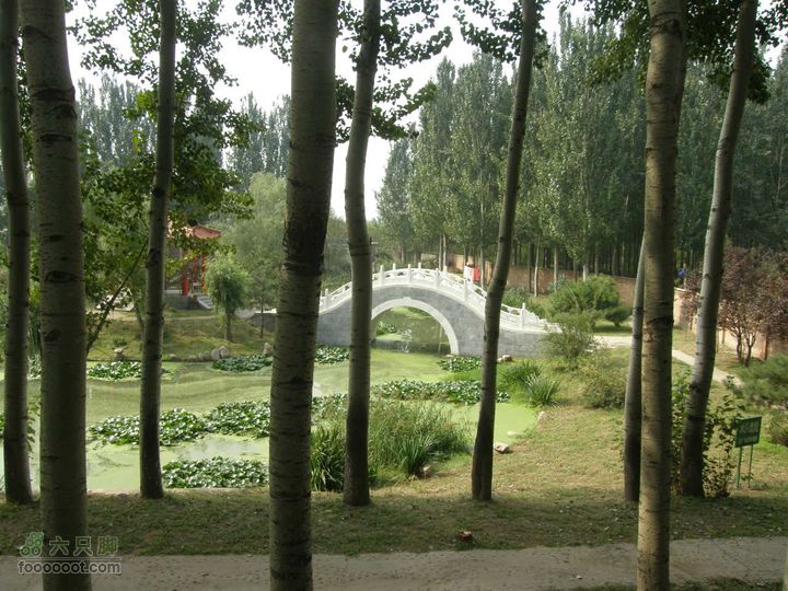 超级实用-八爪鱼带您去首都机场走逃票路线-省20元P9240449