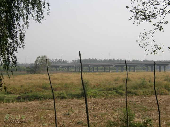 超级实用-八爪鱼带您去首都机场走逃票路线-省20元P9240467