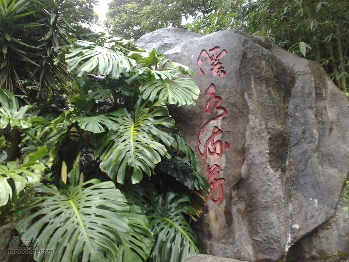 福州森林公园游览观光20100923789