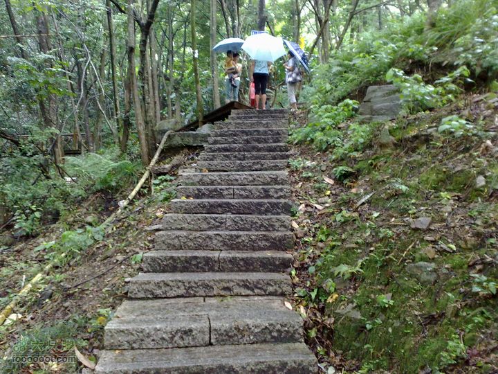 福州森林公园游览观光20100923790