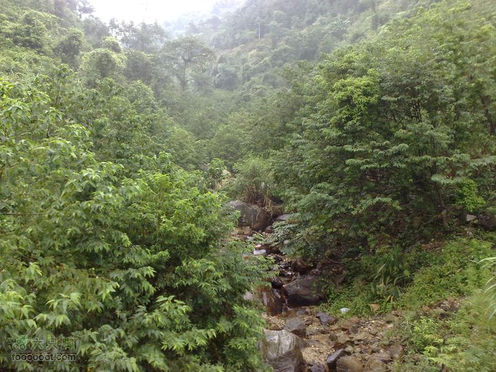 福州森林公园游览观光20100923803