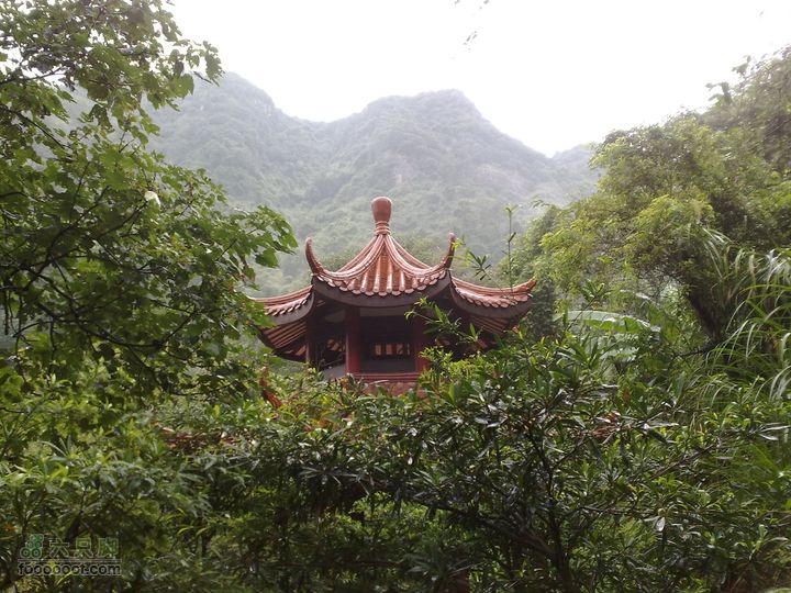 福州森林公园游览观光20100923805