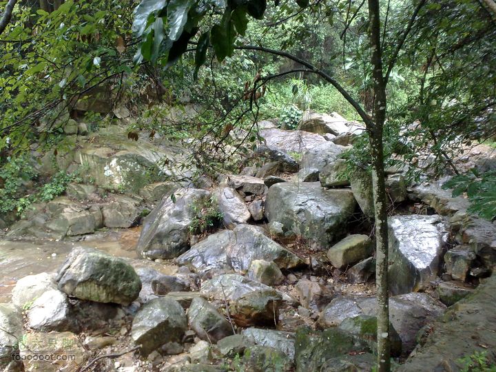 福州森林公园游览观光20100923806