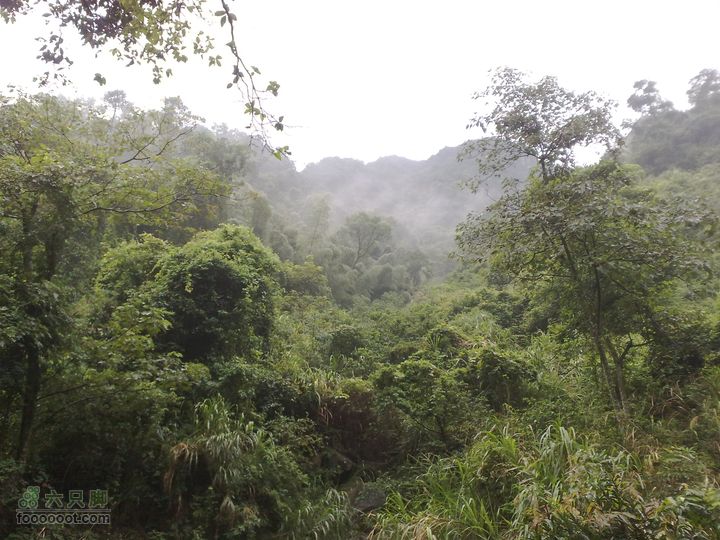 福州森林公园游览观光20100923808