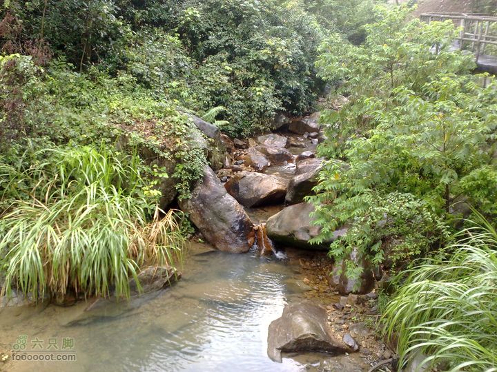 福州森林公园游览观光20100923810