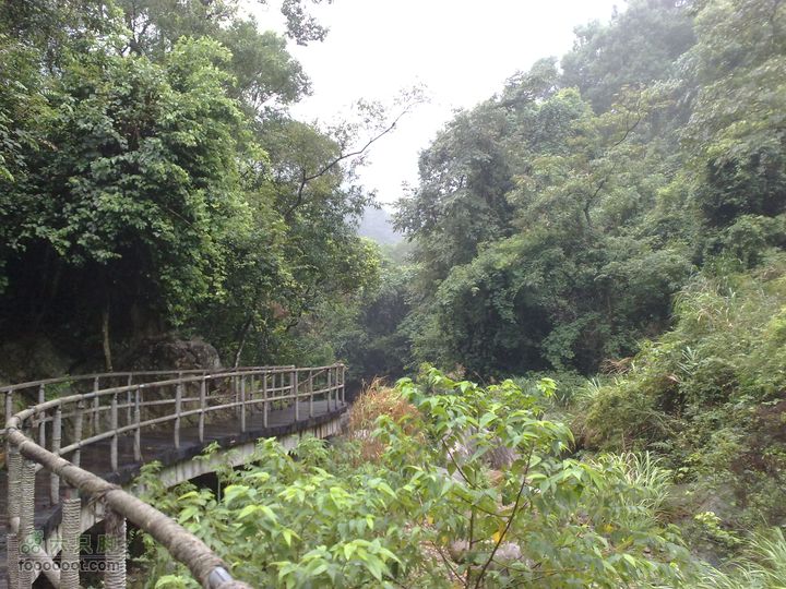 福州森林公园游览观光20100923812