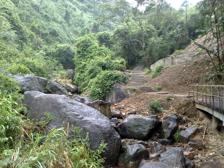 福州森林公园游览观光20100923813