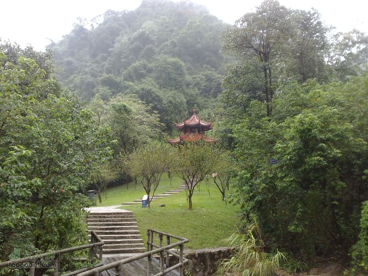 福州森林公园游览观光20100923823