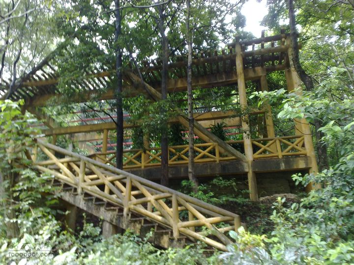 福州森林公园游览观光20100923825