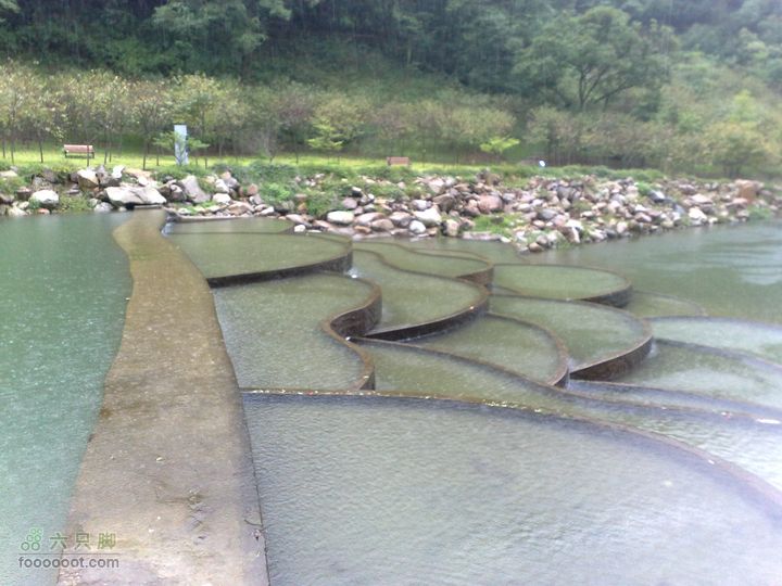 福州森林公园游览观光20100923836