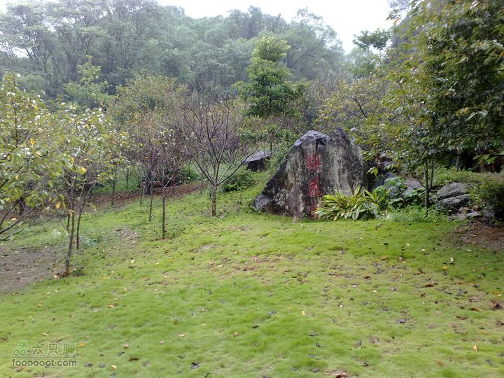 福州森林公园游览观光20100923844