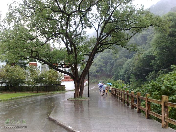 福州森林公园游览观光20100923845
