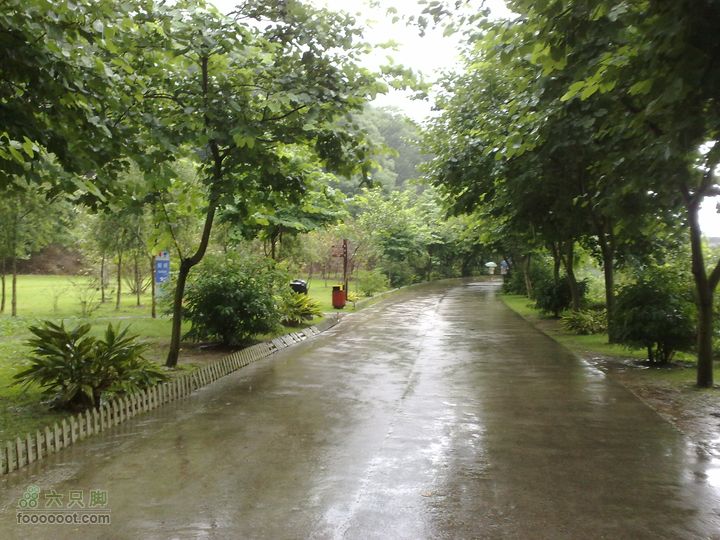 福州森林公园游览观光20100923849