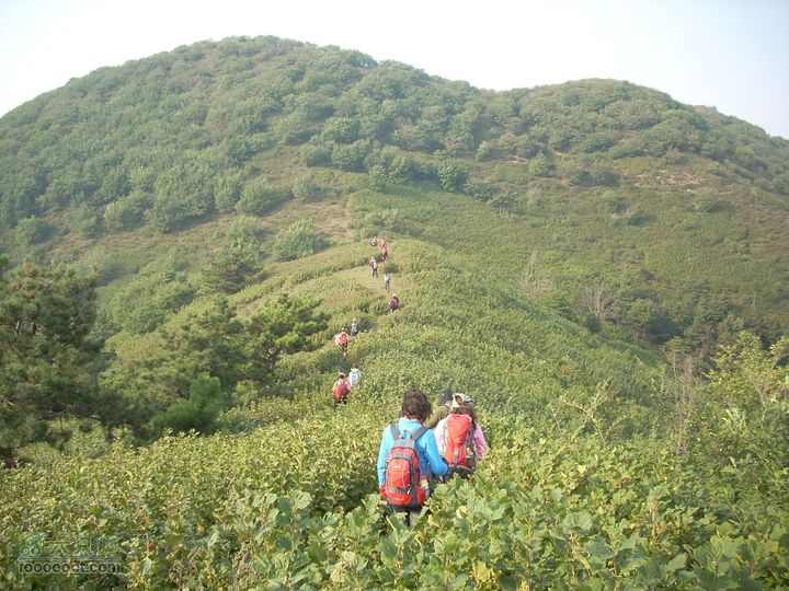 2010.09.25花豹冲爬山DSCN8925_眸目压缩