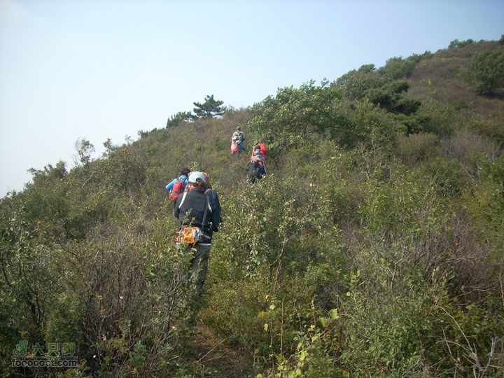 2010.09.25花豹冲爬山DSCN8914_眸目压缩