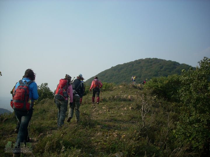 2010.09.25花豹冲爬山DSCN8924_眸目压缩
