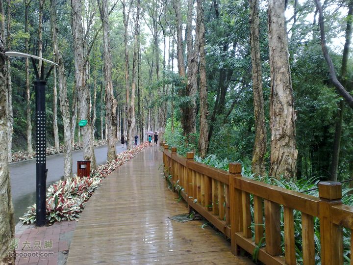 福州森林公园游览观光20100923871