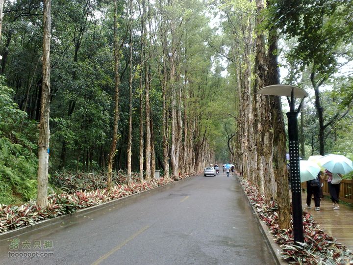 福州森林公园游览观光20100923873
