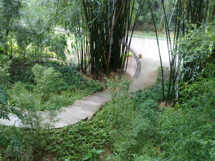 福州森林公园游览观光20100923874