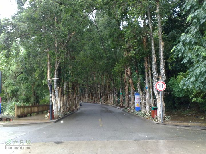 福州森林公园游览观光20100923895