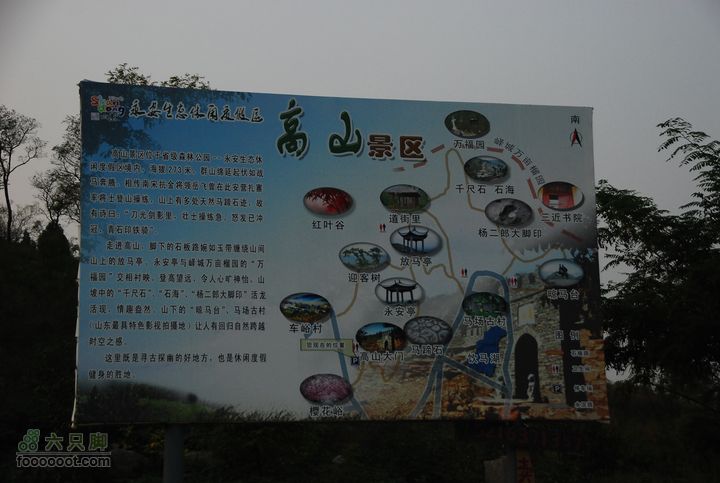 初探永安马场DSC_0377