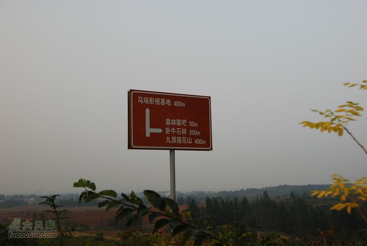 初探永安马场DSC_0391