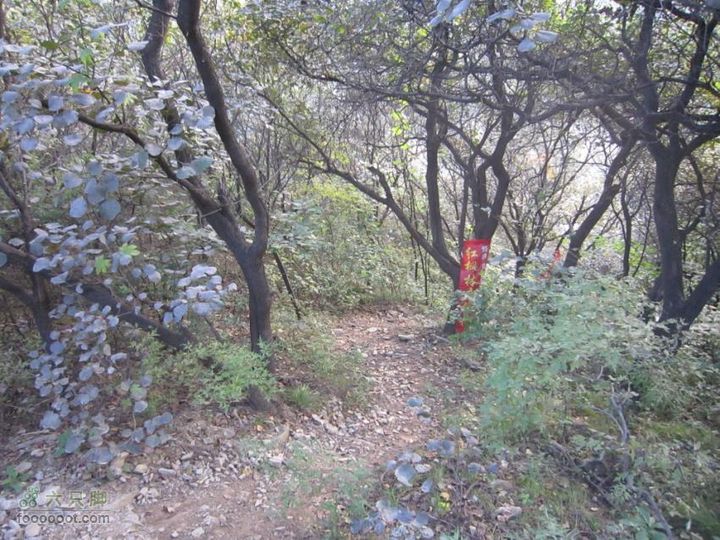 从香山-白家瞳-东山村IMG_1698