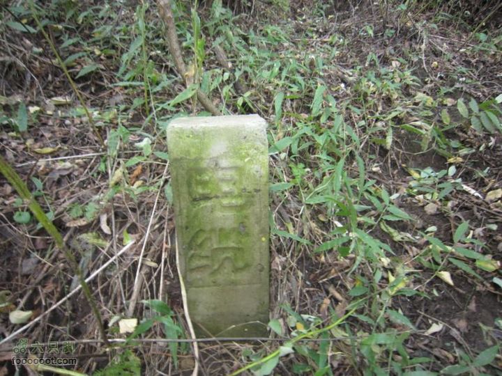 从香山-白家瞳-东山村IMG_1708