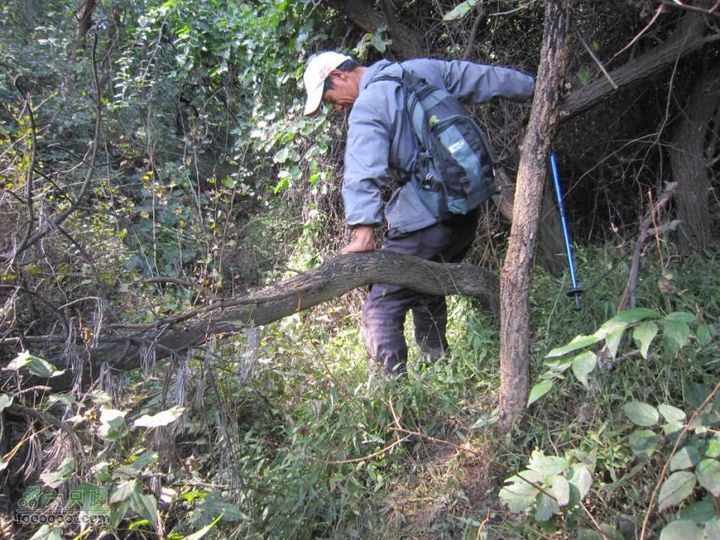 从香山-白家瞳-东山村IMG_1713