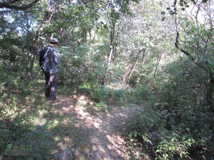 从香山-白家瞳-东山村IMG_1715