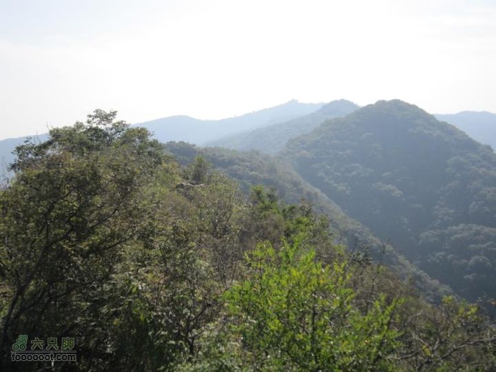 从香山-白家瞳-东山村IMG_1718