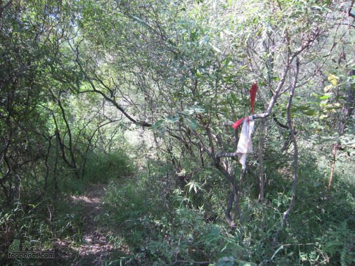 从香山-白家瞳-东山村IMG_1722