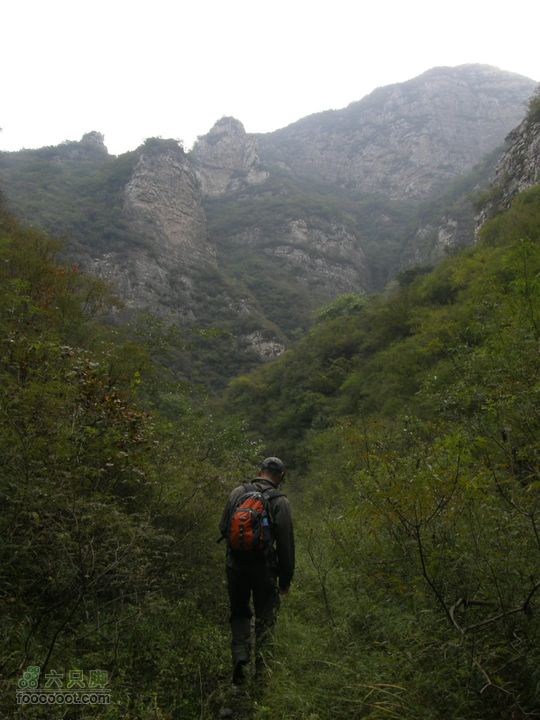 庆国庆再寻任老师-铁坨山北上南下-赵家台PA010425