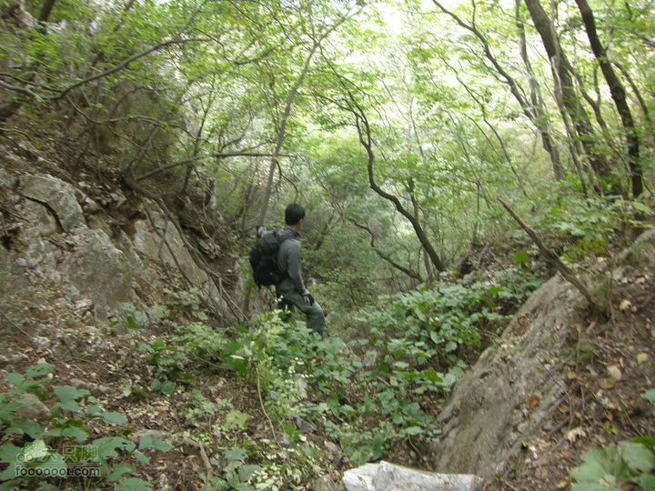 庆国庆再寻任老师-铁坨山北上南下-赵家台PA010478