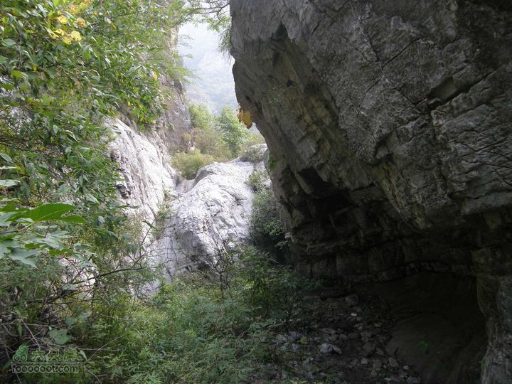 庆国庆再寻任老师-铁坨山北上南下-赵家台PA010439