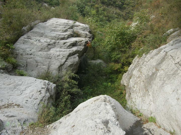 庆国庆再寻任老师-铁坨山北上南下-赵家台PA010441