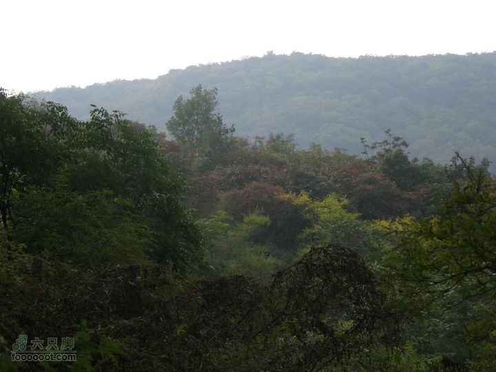 庆国庆再寻任老师-铁坨山北上南下-赵家台PA010442