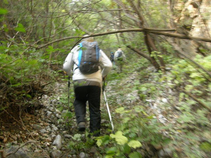 庆国庆再寻任老师-铁坨山北上南下-赵家台PA010443